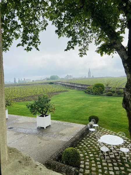 A picture of the vineyards and view from Chateau Canon in St-Emilion, Bordeaux, taken by K&L Wine Merchants staffer Gary Norton