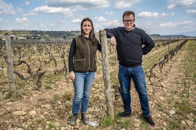 Yann Chave in his Crozes-Hermitage vineyard The five 2023–2025 Domaine Yann Chave bottlings carried by K&L