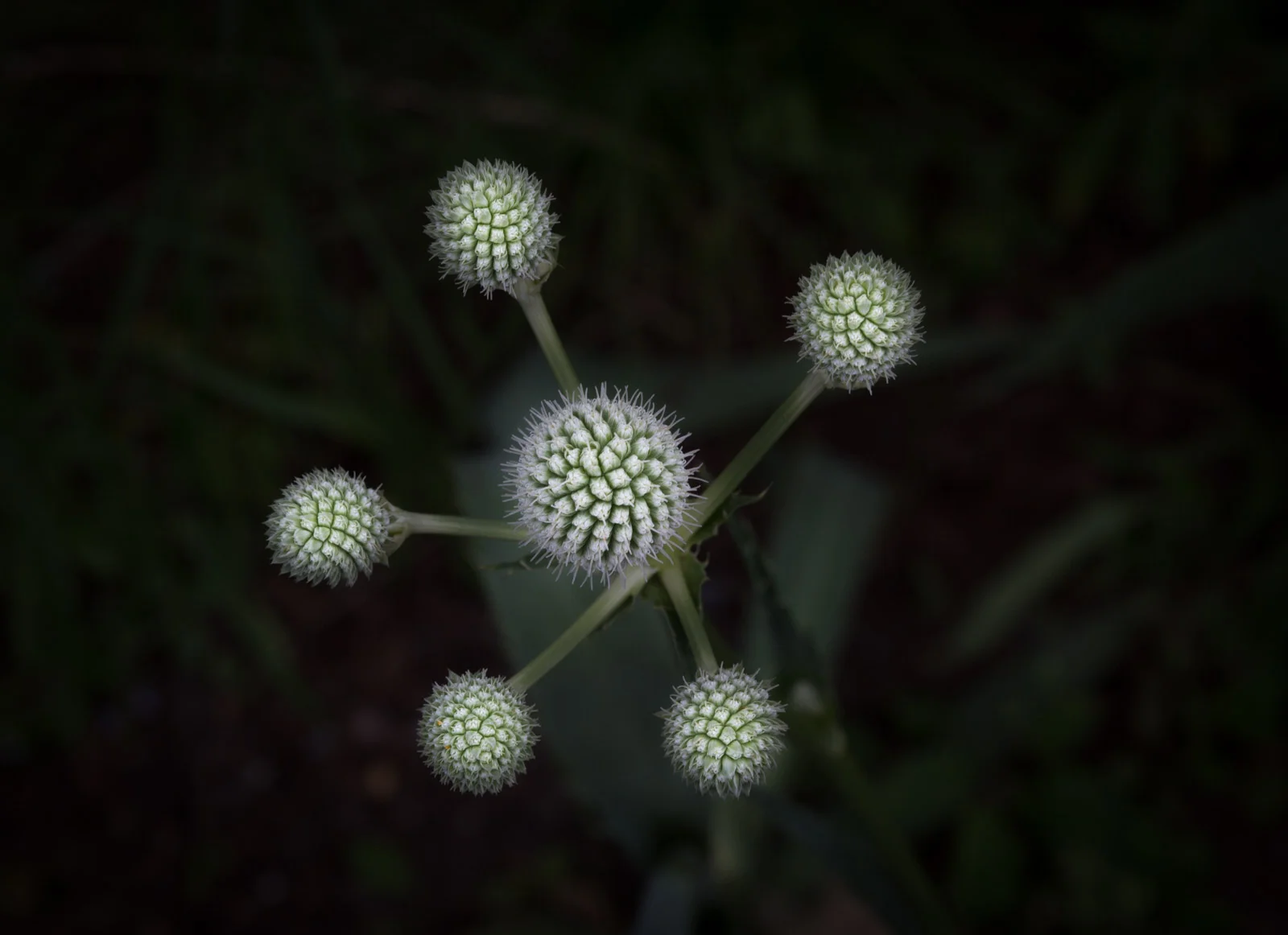 Experiment Try really exploring your next subject. Try the “up, down, right, left” approach and see what you come up with, experiment with different focal lengths and distances. Try and mix up your standard approach to a subject and have fun trying new things out.