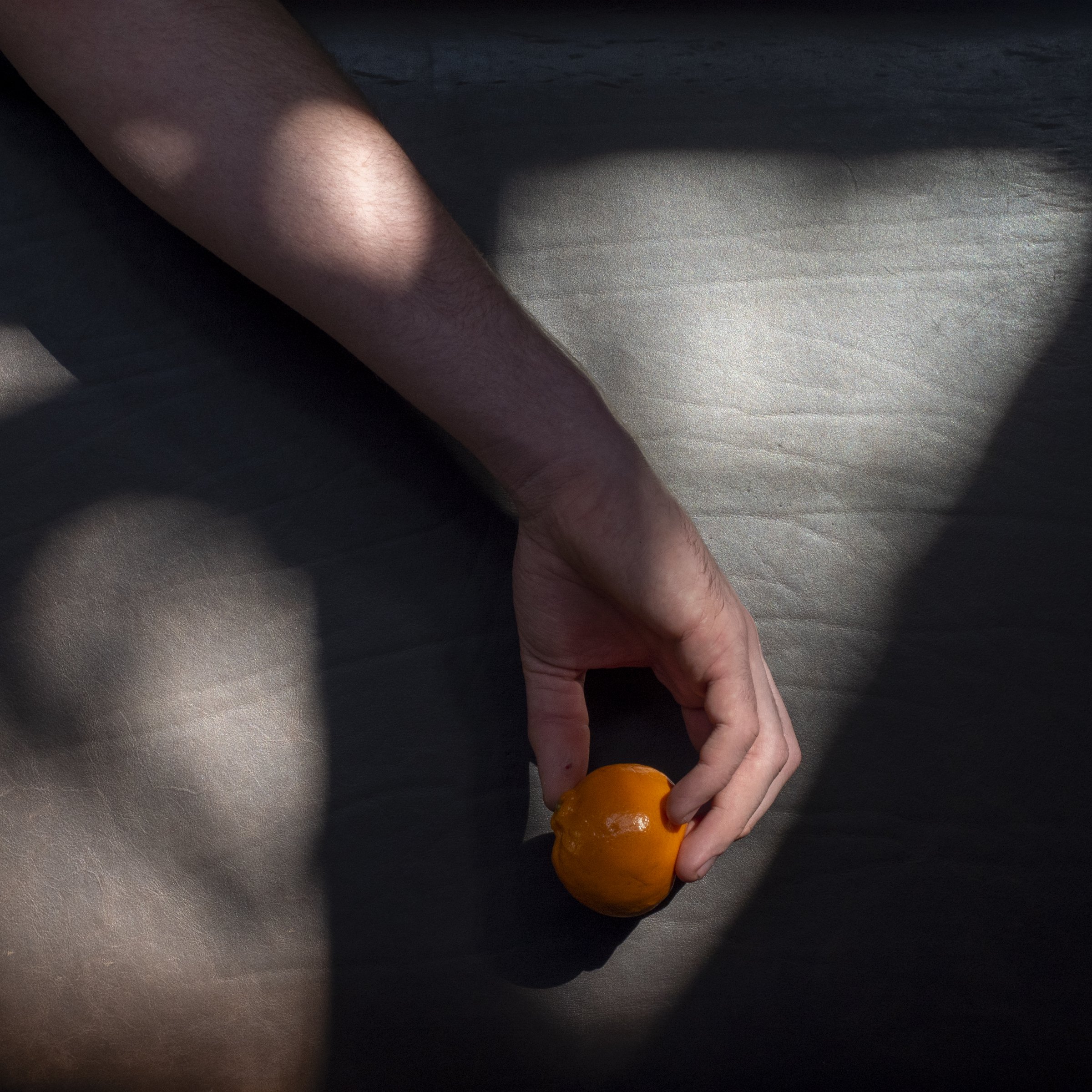 11_A_Harper_Hand and Fruit.jpg