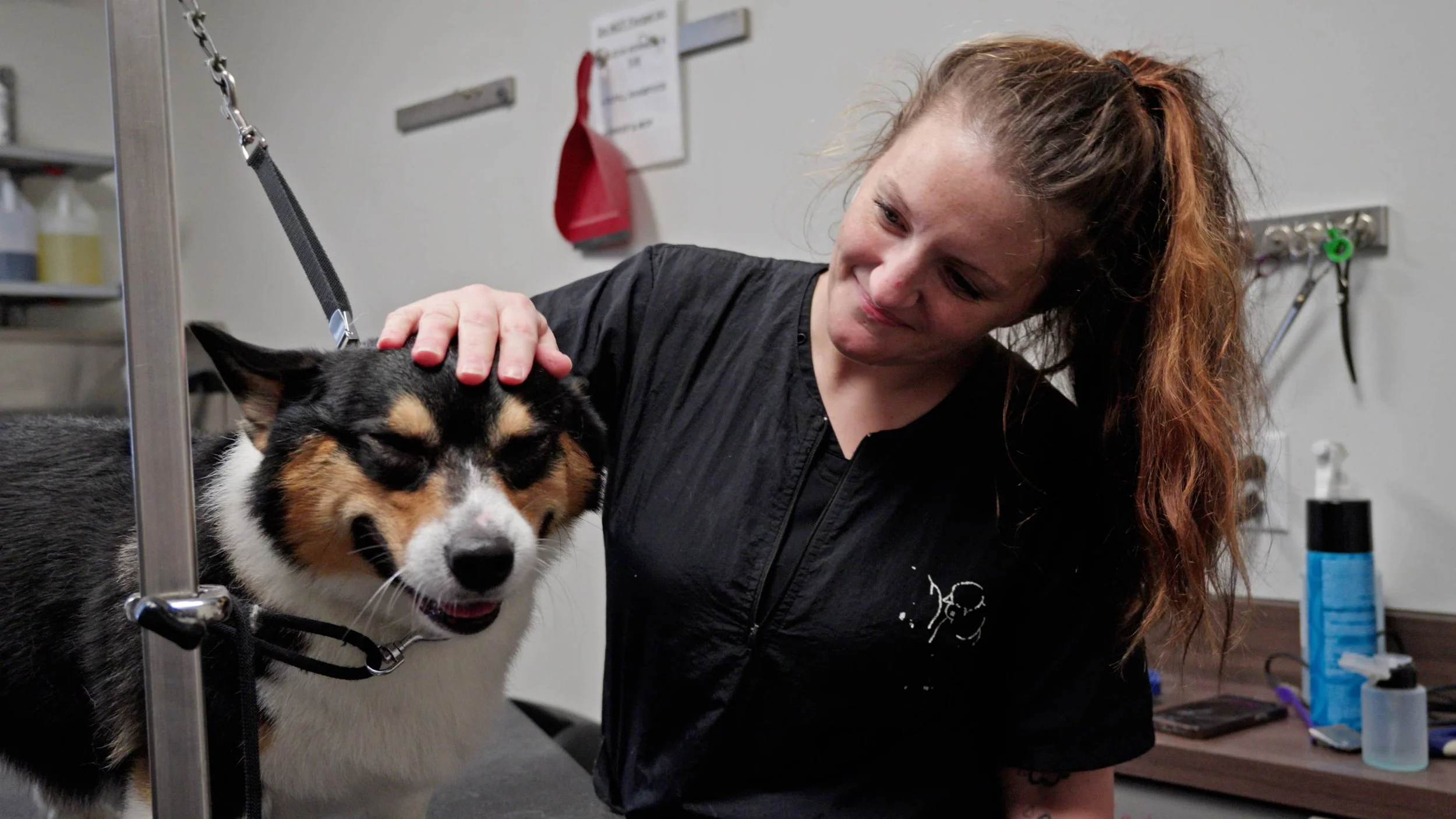 Visual Reference: Conway S Local Vet