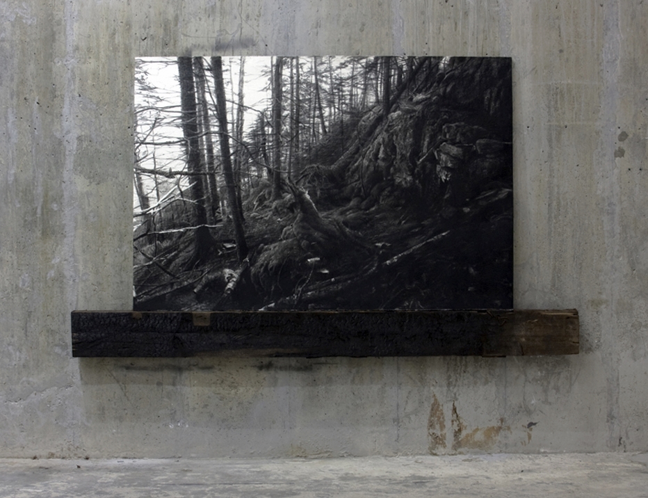 Sprucehead, charcoal paper charred wood, 54"X96" 2011