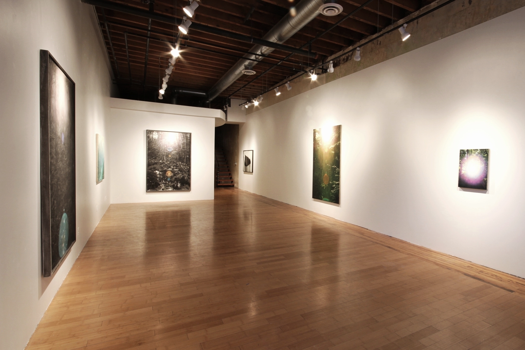 Orgone, David B Smith Gallery 2013