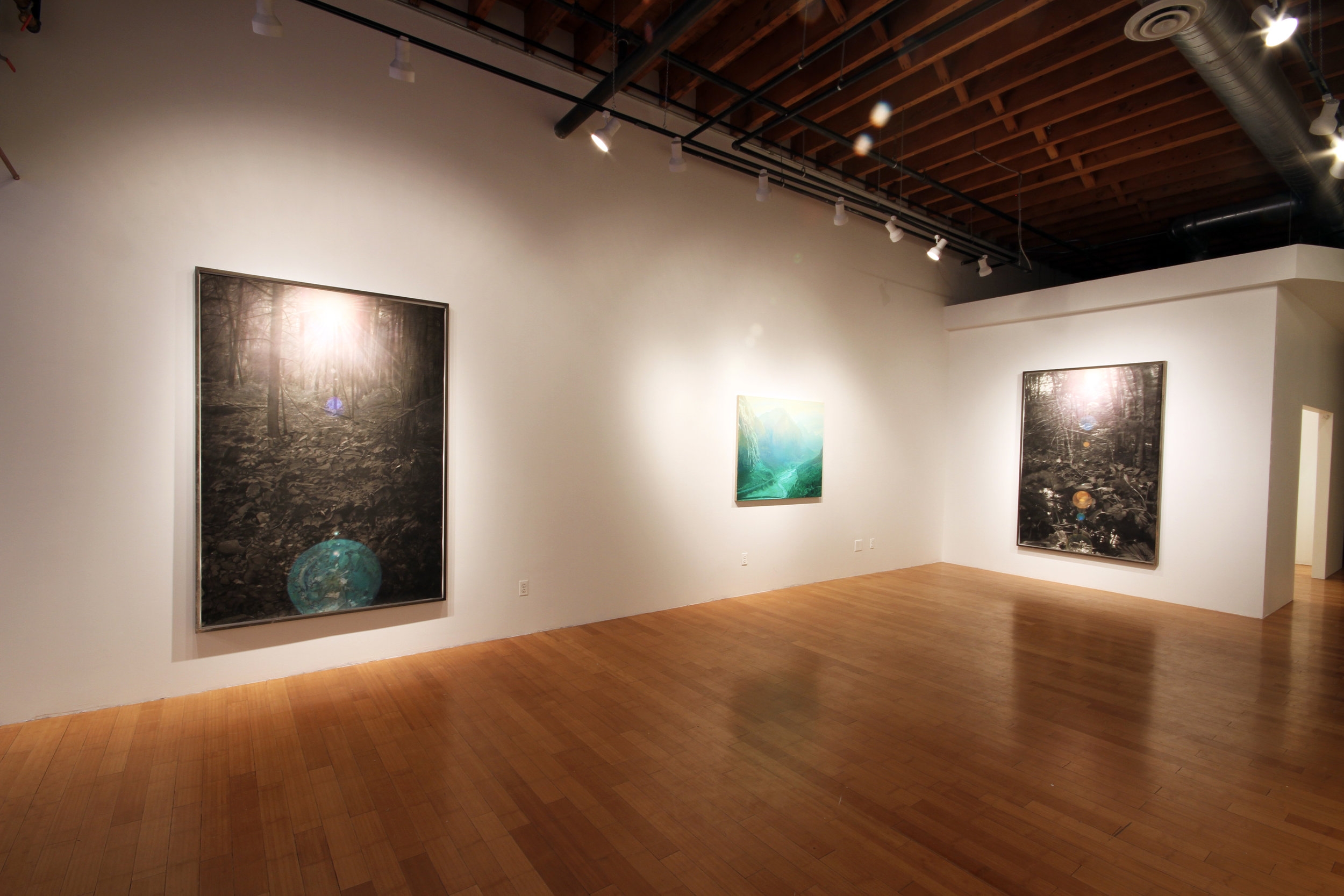 Orgone, David B Smith Gallery 2013