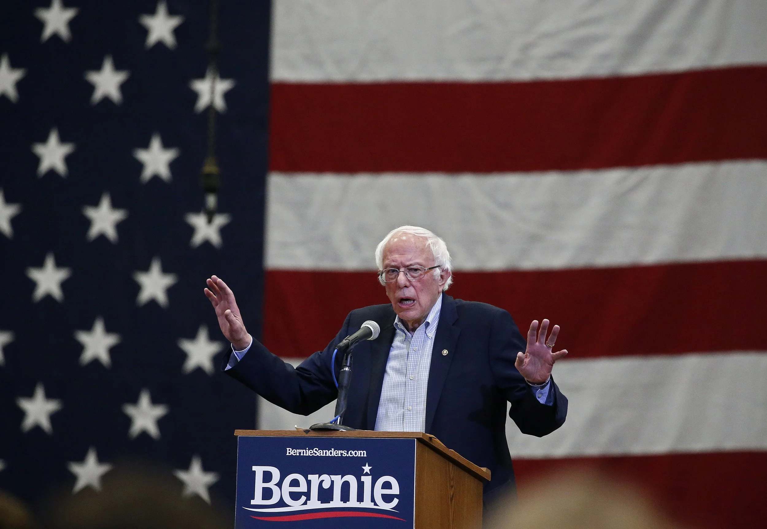 212779997-democratic-presidential-candid.jpeg