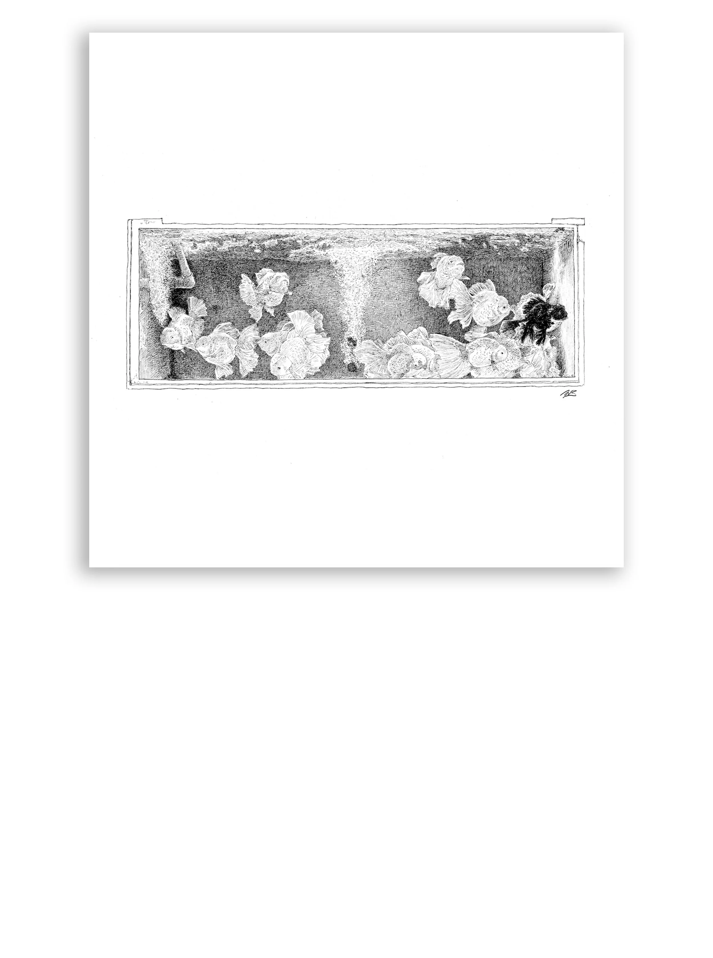 PRINTS2026_fishtank_2.jpg