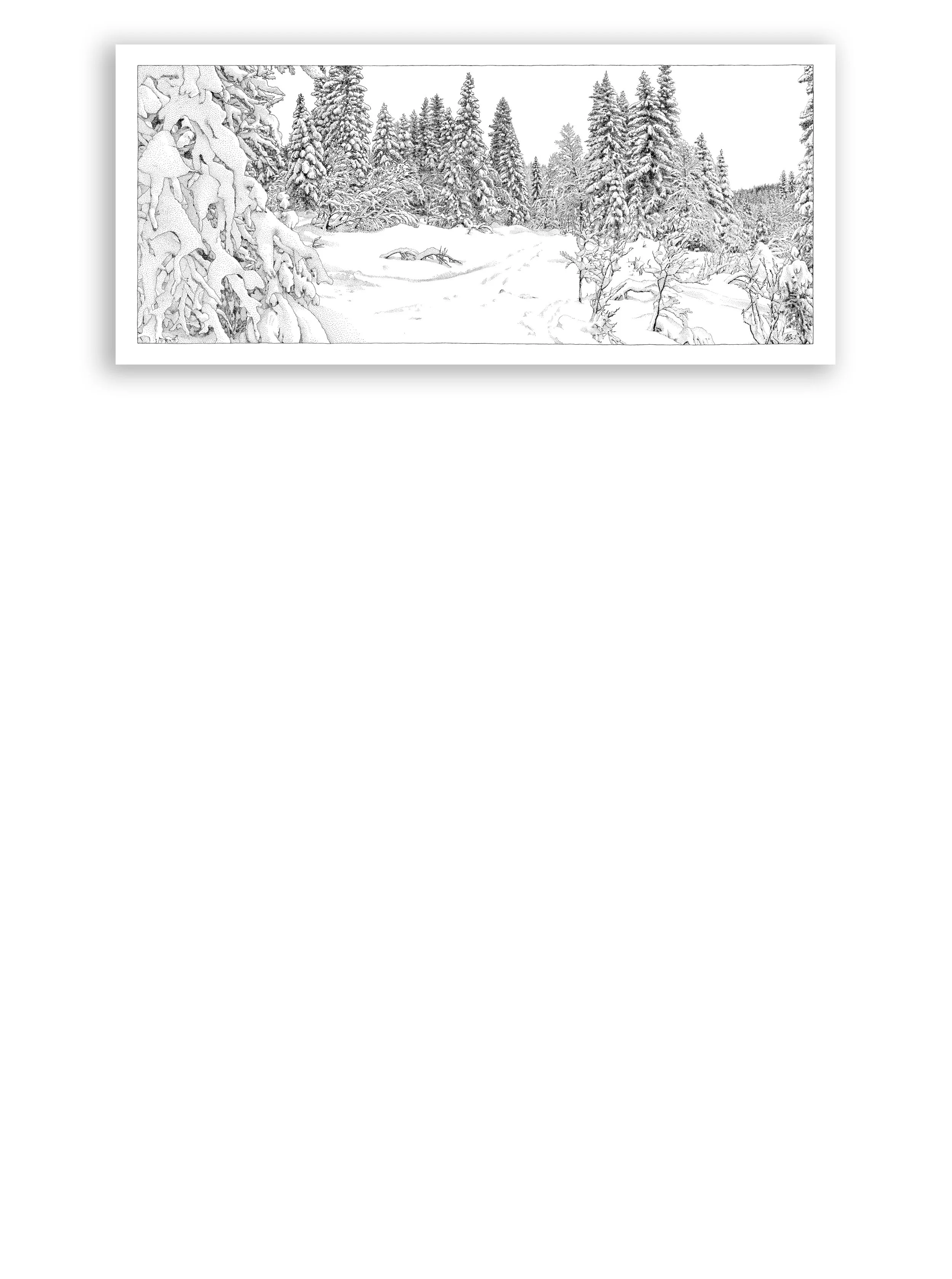 PRINTS2026_vinterlandskap_2.jpg