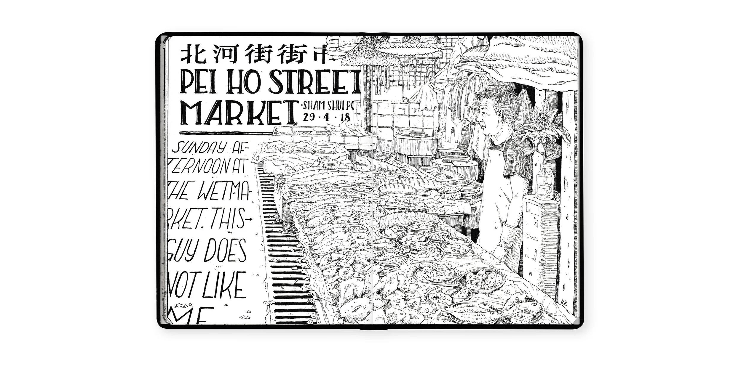 SSP_spread_120.jpg