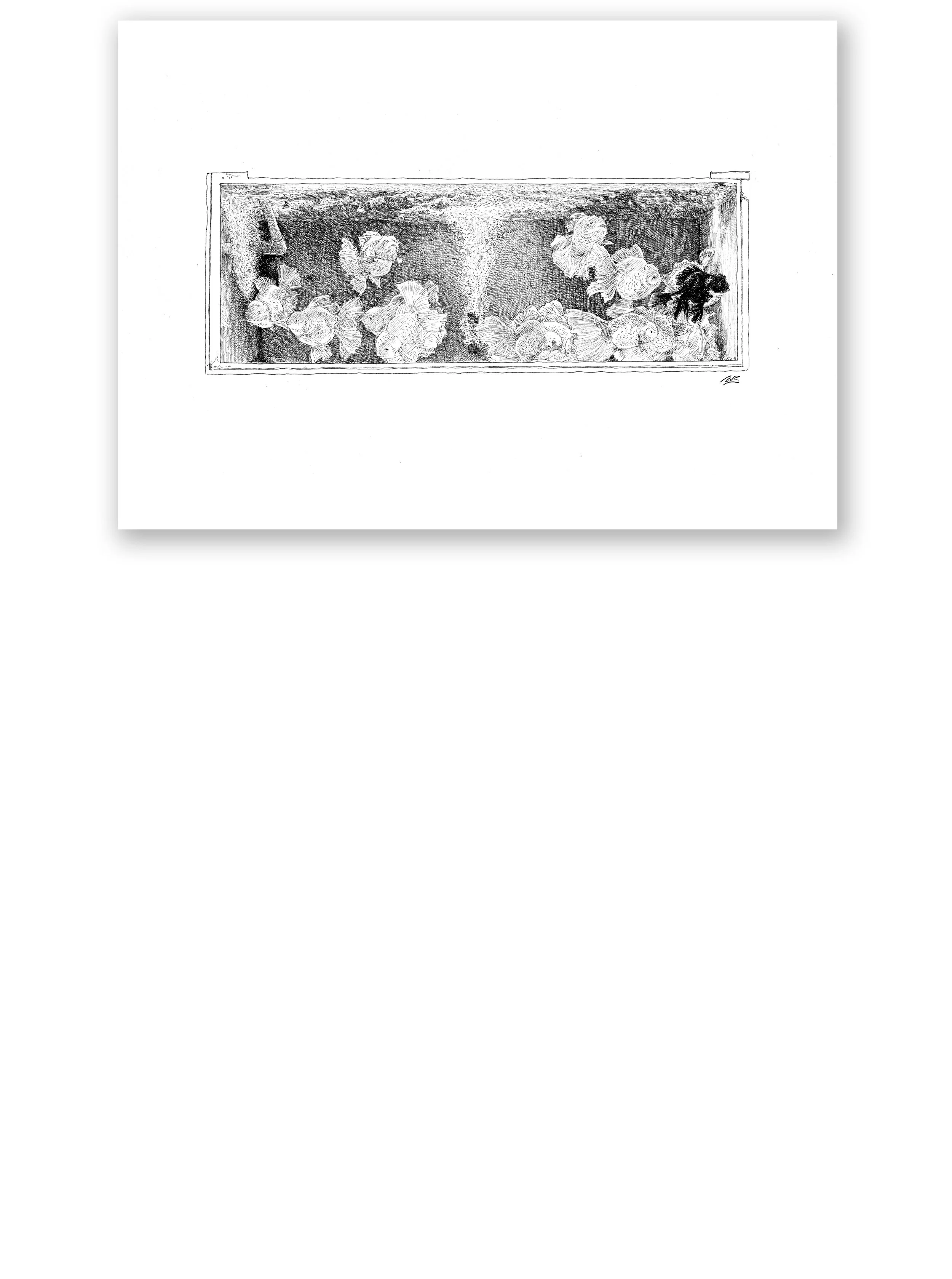 PRINTS2026_Aquarium2.jpg