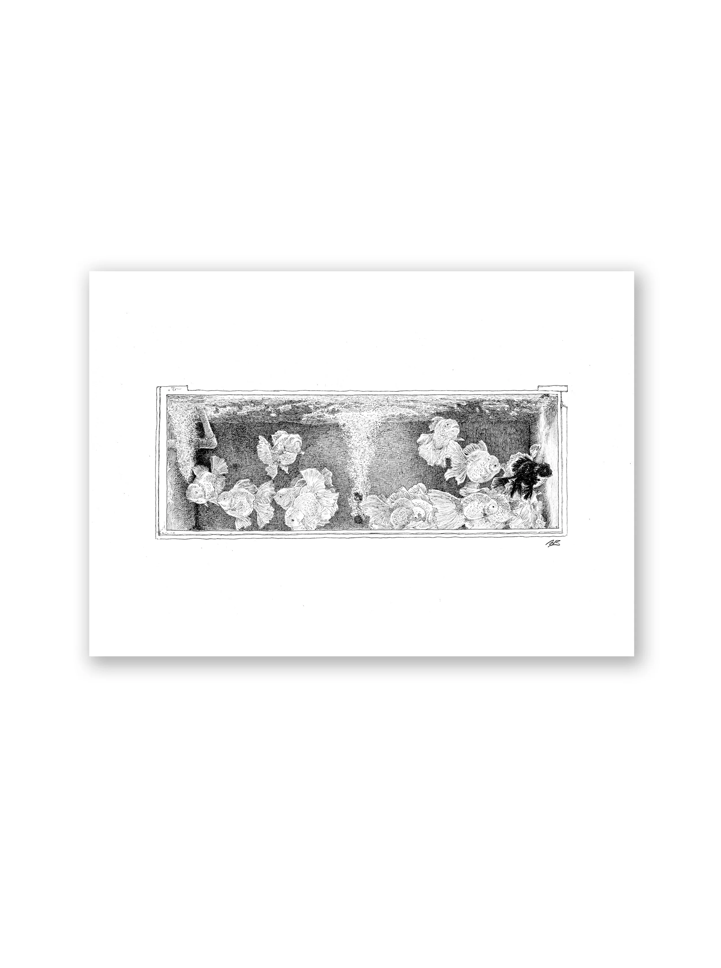"Goldfish Market" (Signed Print)