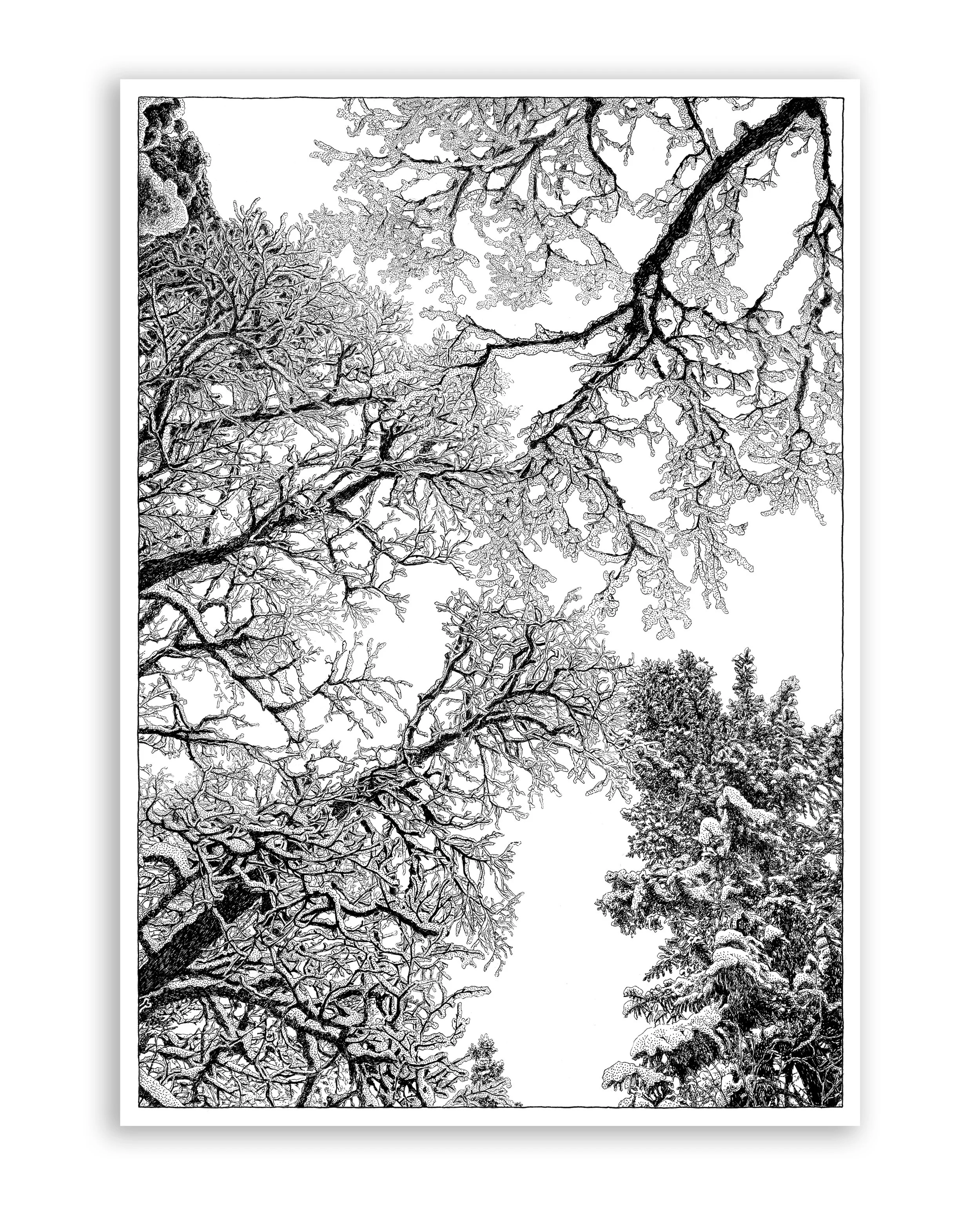 "Winter" (Original Artwork)