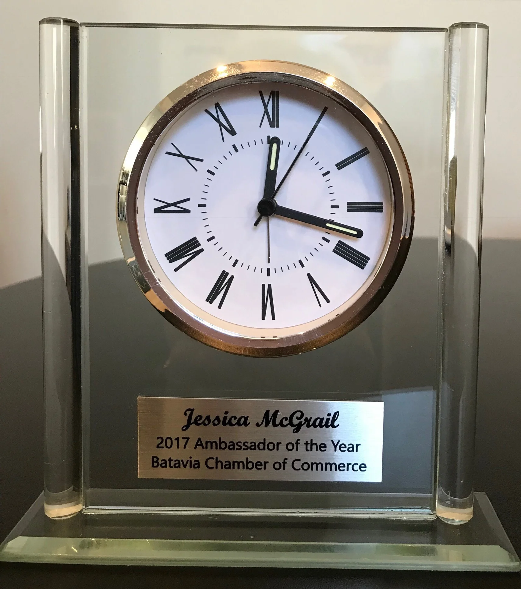 2017 ambassador of the year.jpeg