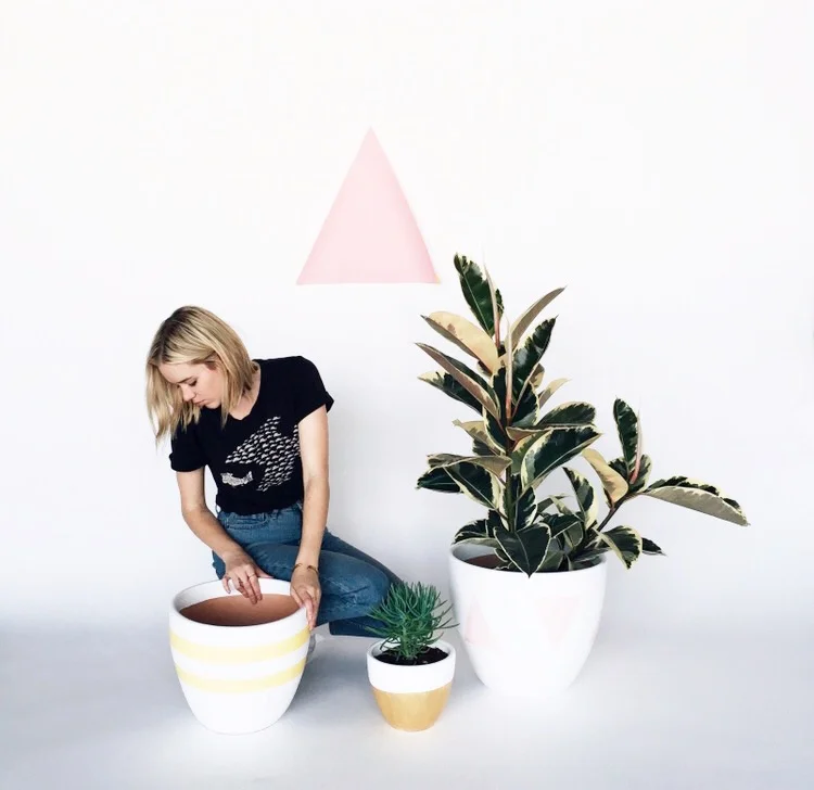 popupgreens.jpg