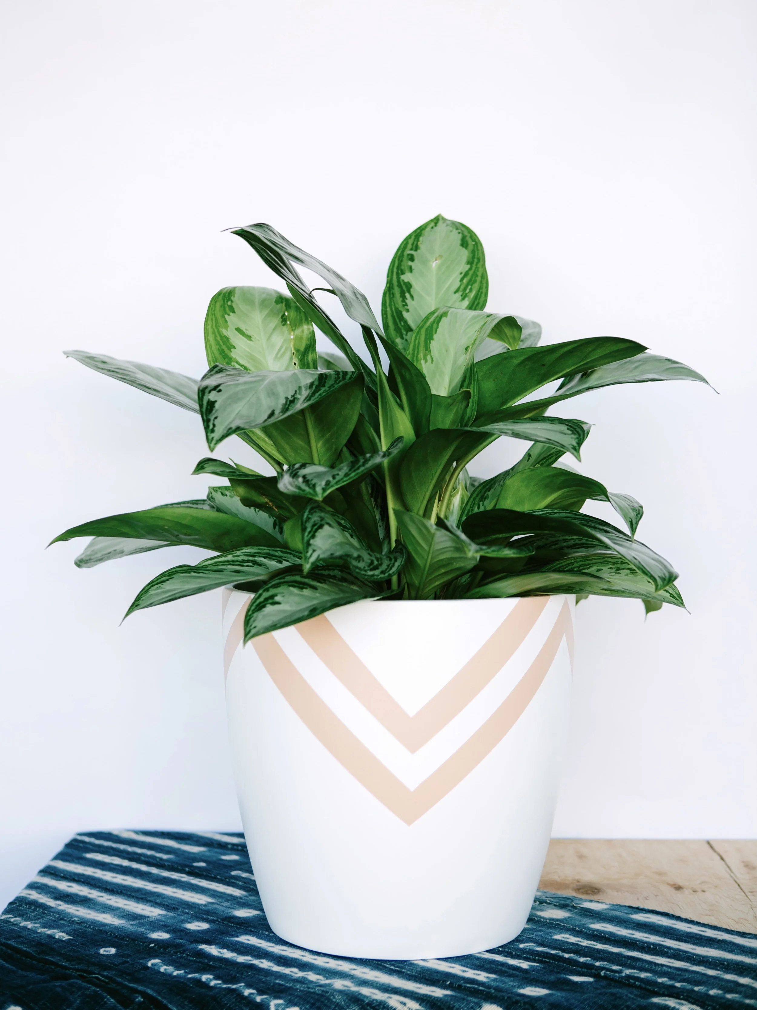 Chevron Painted Pot