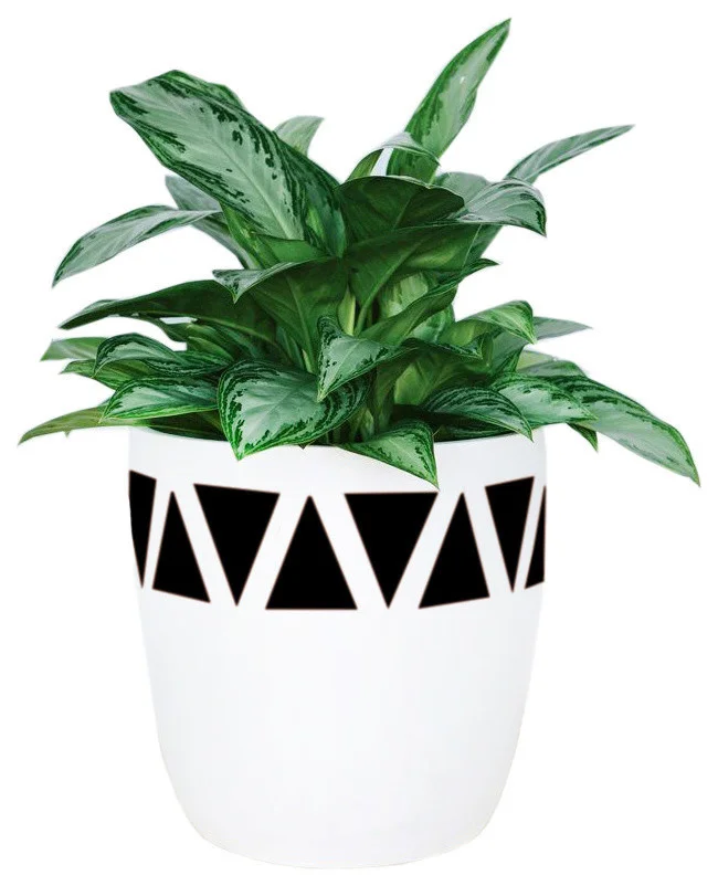 contemporary-outdoor-pots-and-planters-6 copy.jpg