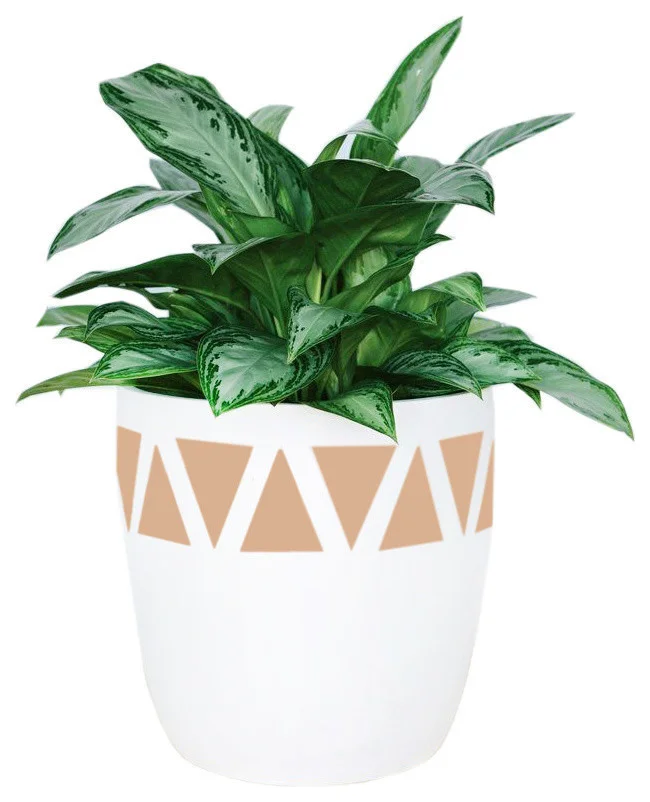 contemporary-outdoor-pots-and-planters-3.jpg