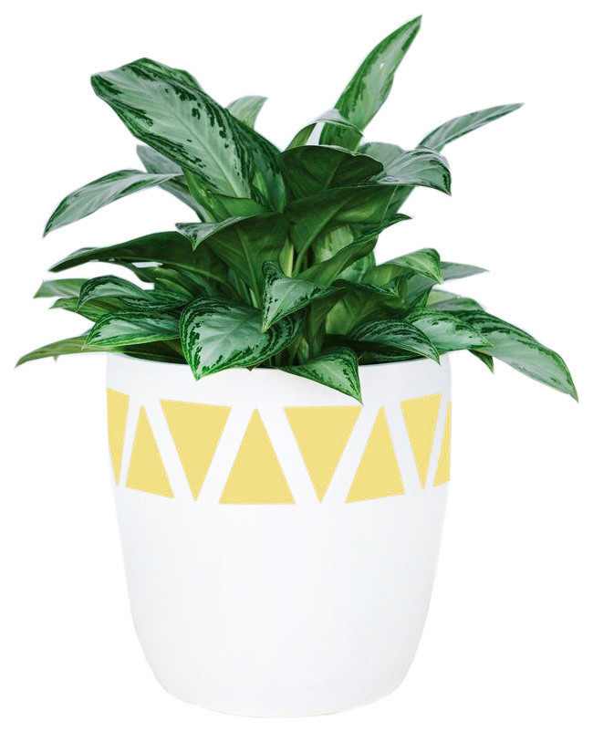 contemporary-outdoor-pots-and-planters-1.jpg