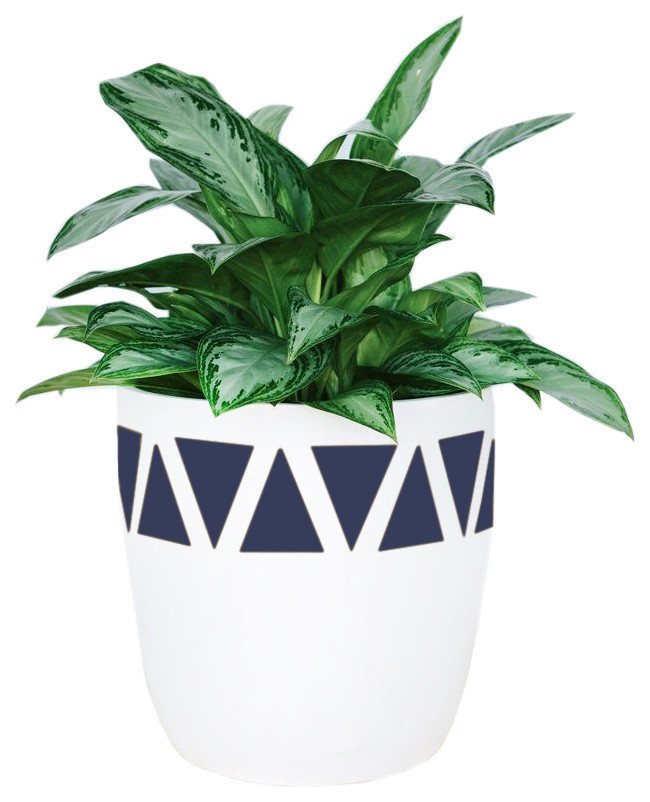 contemporary-outdoor-pots-and-planters-4.jpg