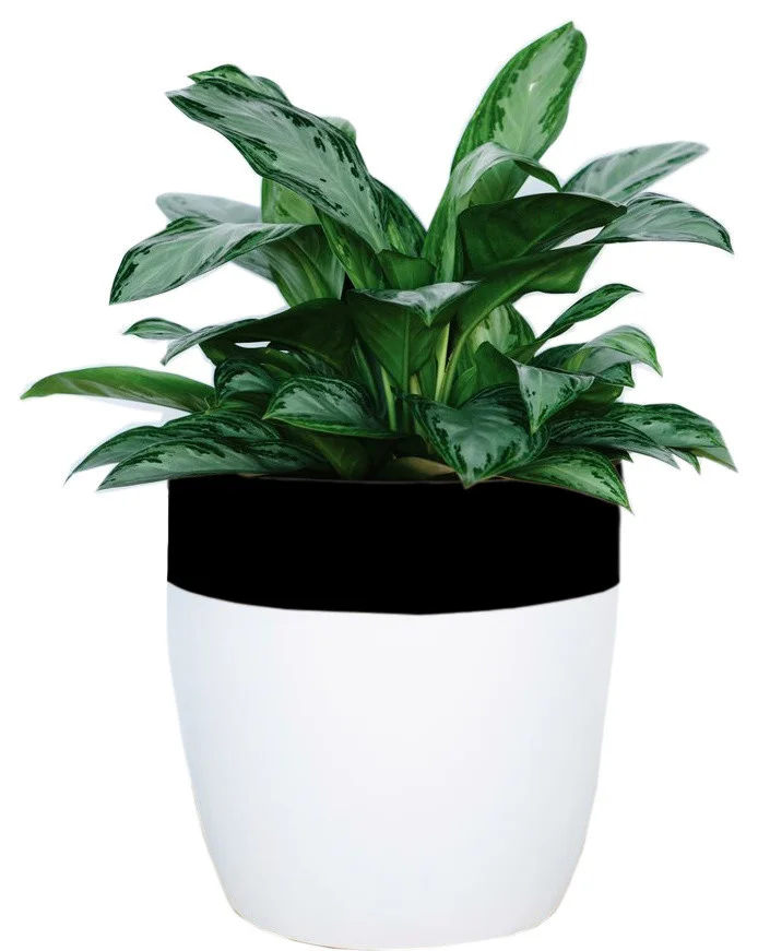 contemporary-outdoor-pots-and-planters-5 copy.jpg