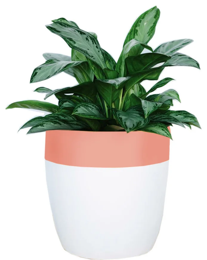 contemporary-outdoor-pots-and-planters-2.jpg