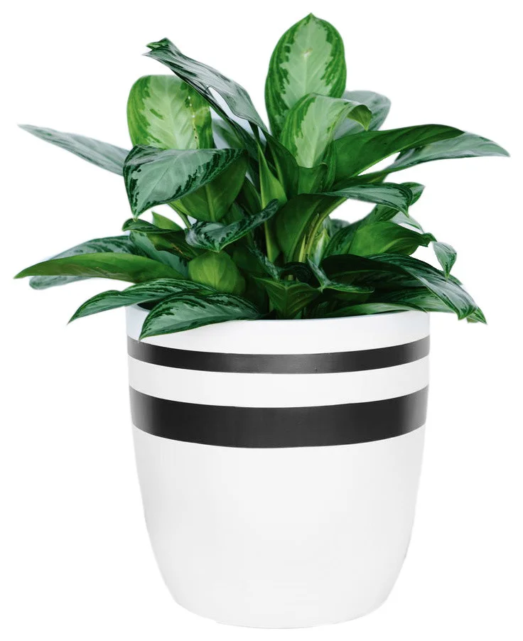 contemporary-outdoor-pots-and-planters.jpg