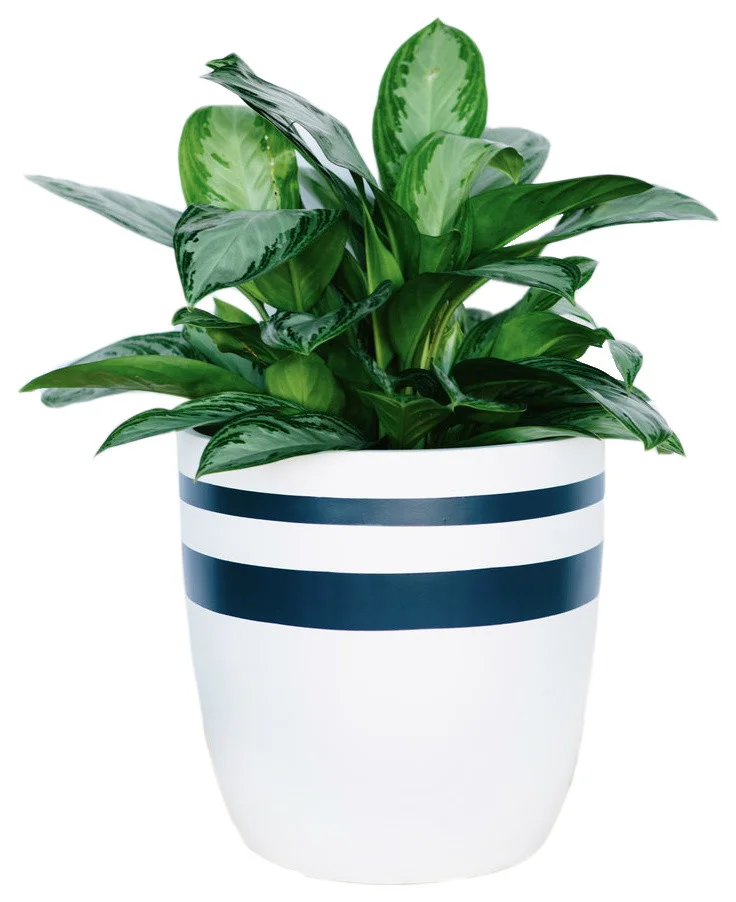 contemporary-outdoor-pots-and-planters-4.jpg