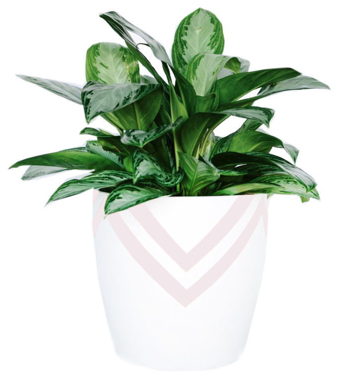 contemporary-outdoor-pots-and-planters-6.jpg