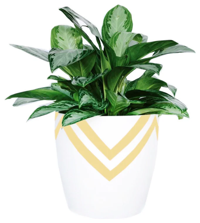 contemporary-outdoor-pots-and-planters-1.jpg