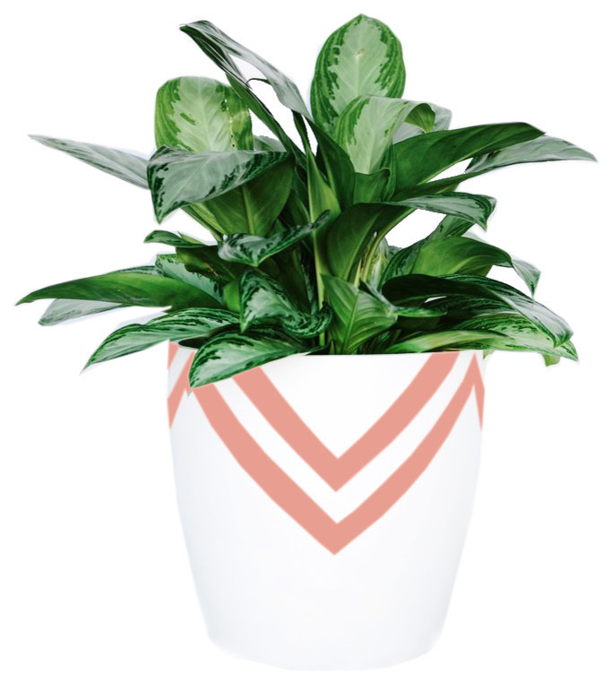 contemporary-outdoor-pots-and-planters-2.jpg
