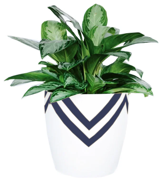 contemporary-outdoor-pots-and-planters-4.jpg