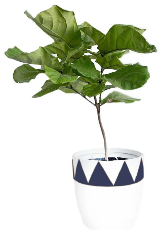 contemporary-outdoor-pots-and-planters-2.jpg