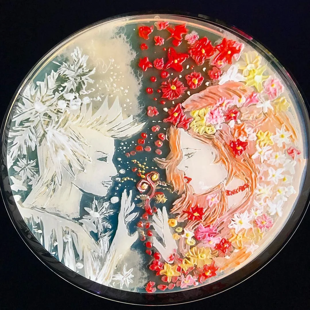 Microbe painting! Pic: @lscafterdark