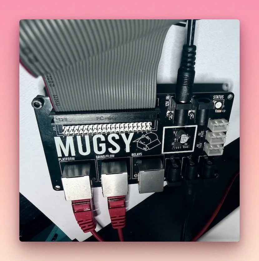 Quickie P3: ⚖️🐞☠️