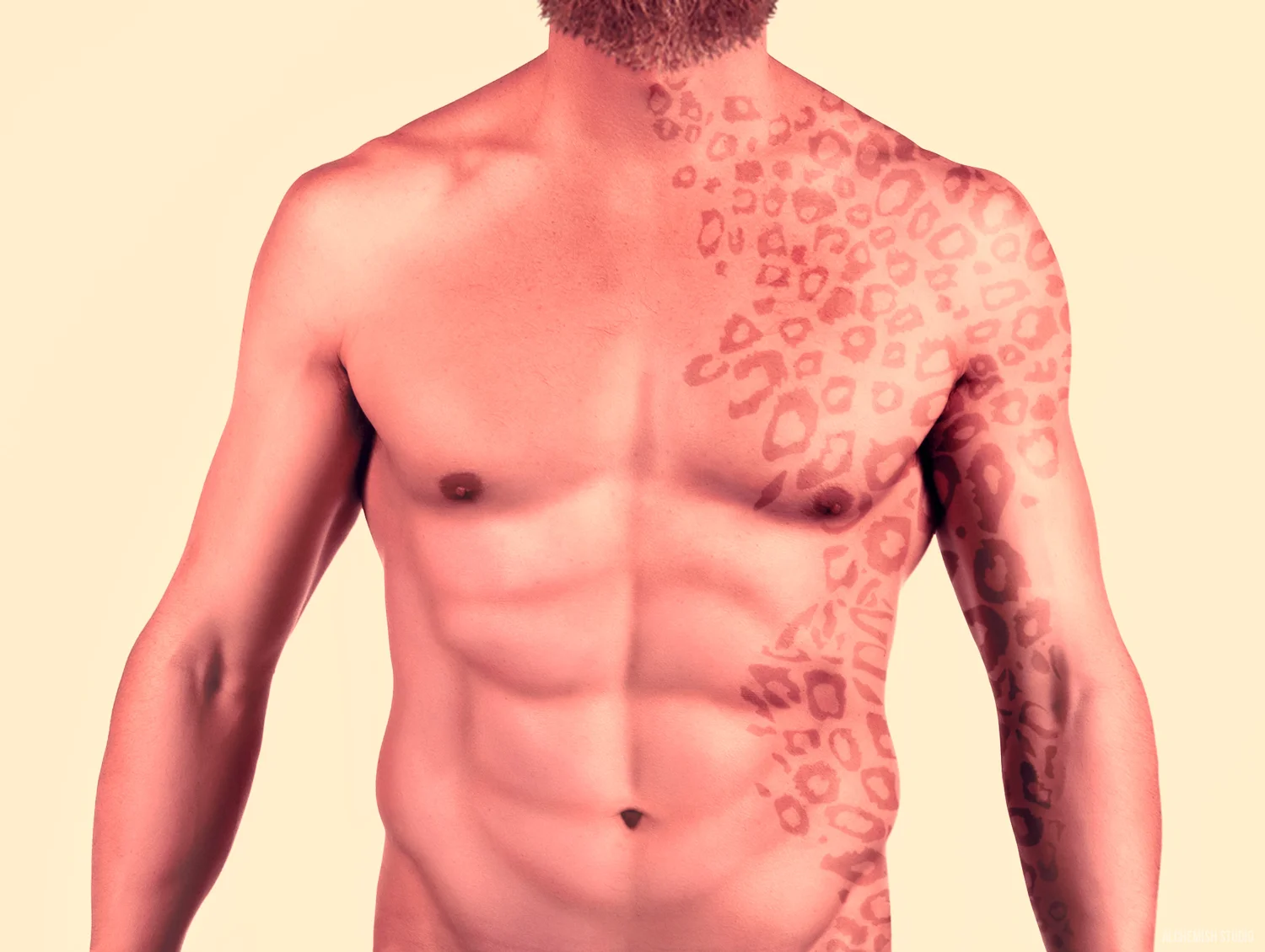 alchemishstudio-male_torso1.jpg