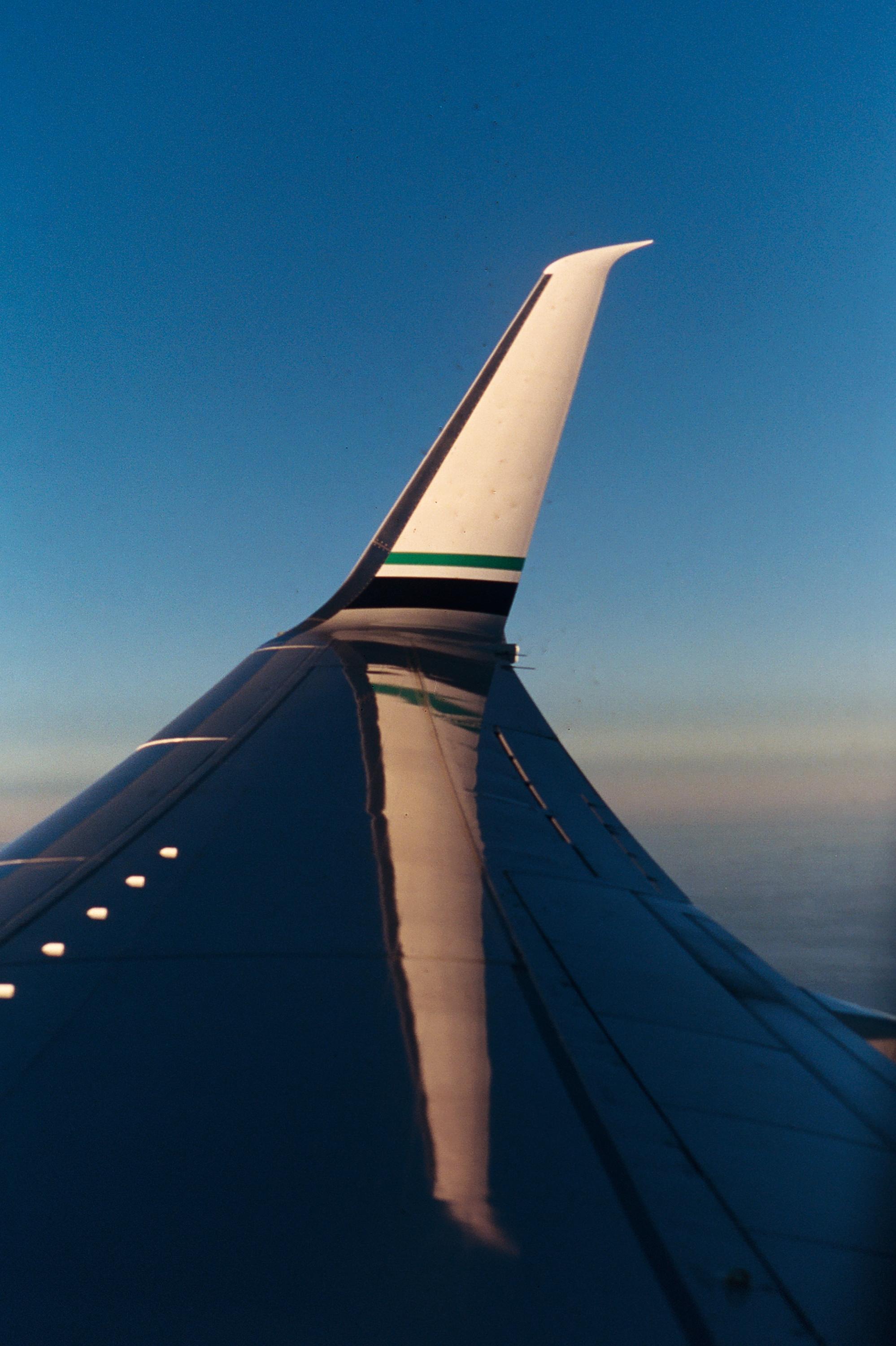 7993AA012A.jpg