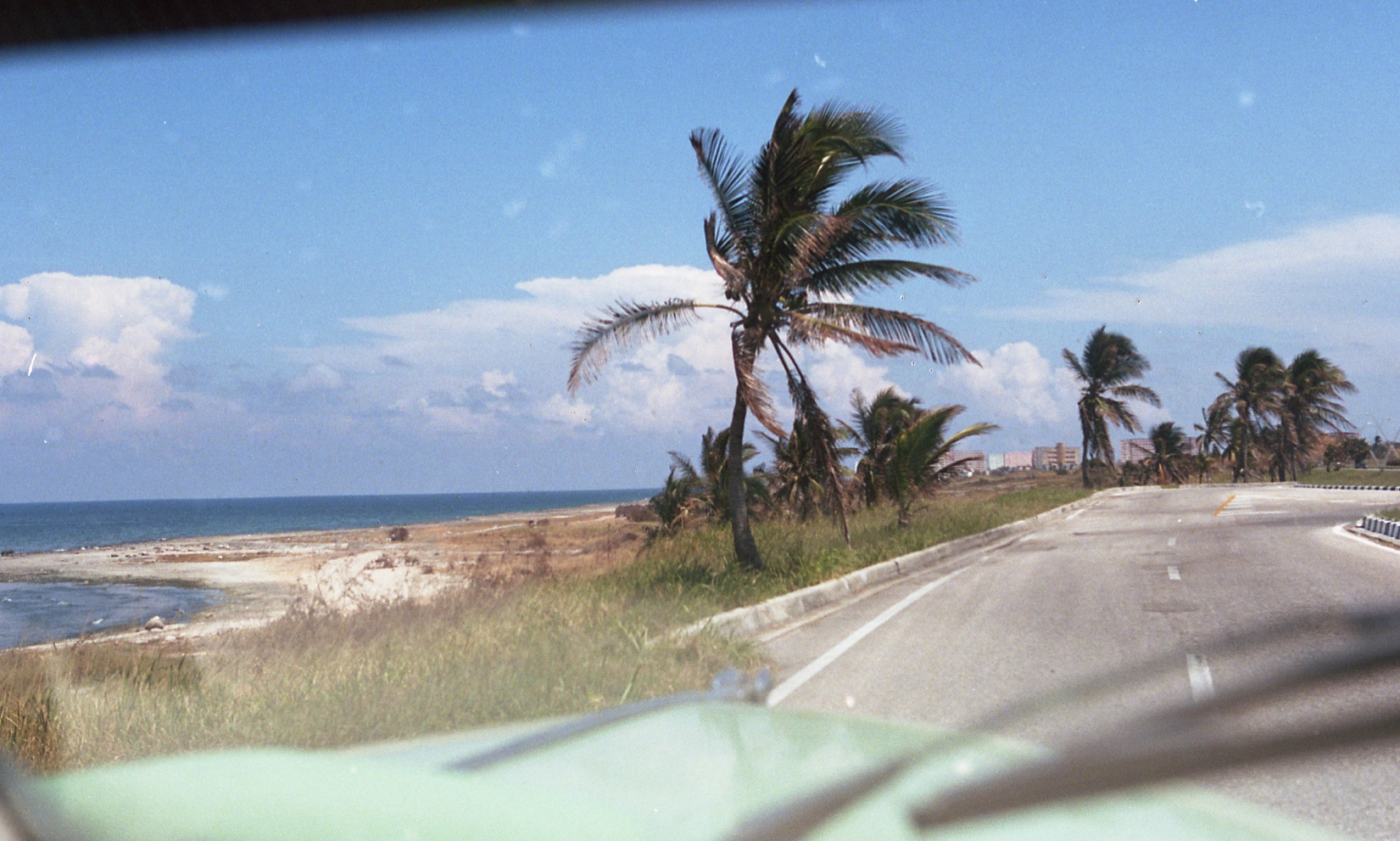 img010.jpg