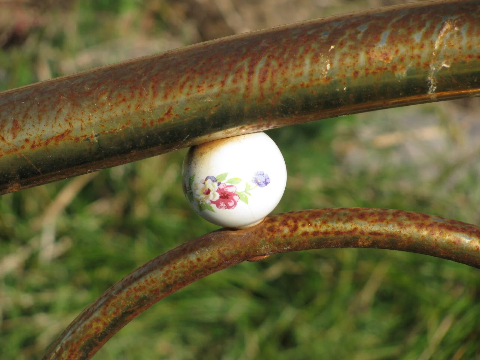 Embracing the Light & the Dark