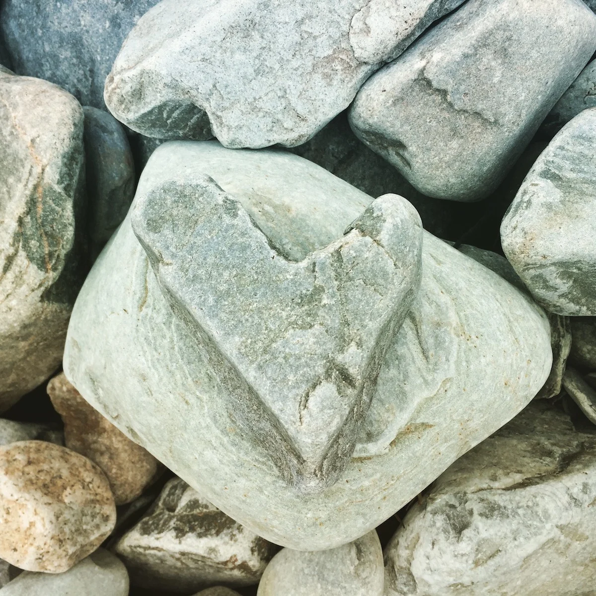 COURAGE TO LEAD FOR YOUNG LEADERS AND ACTIVISTS  