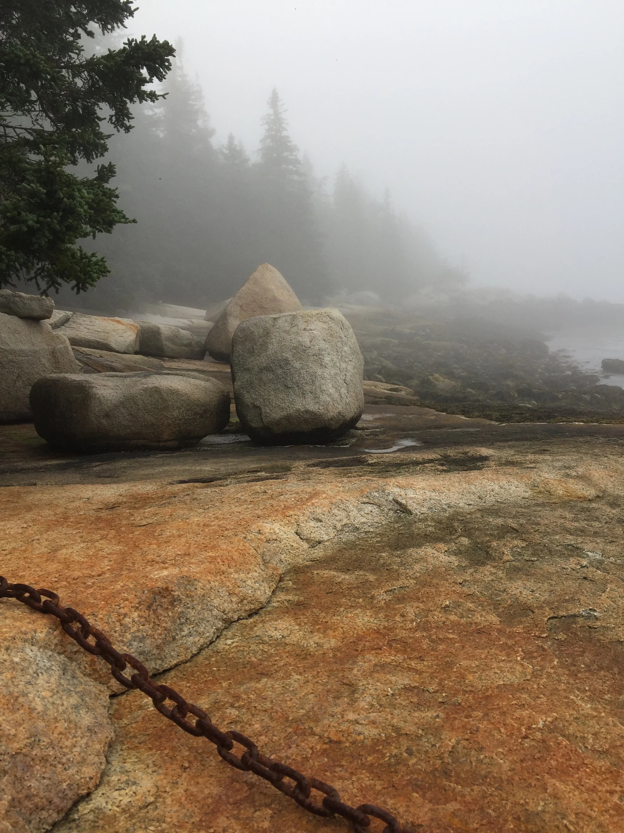 My sit-spot for solo time on Hurricane Island - six hours to sink into stillness and to listen.