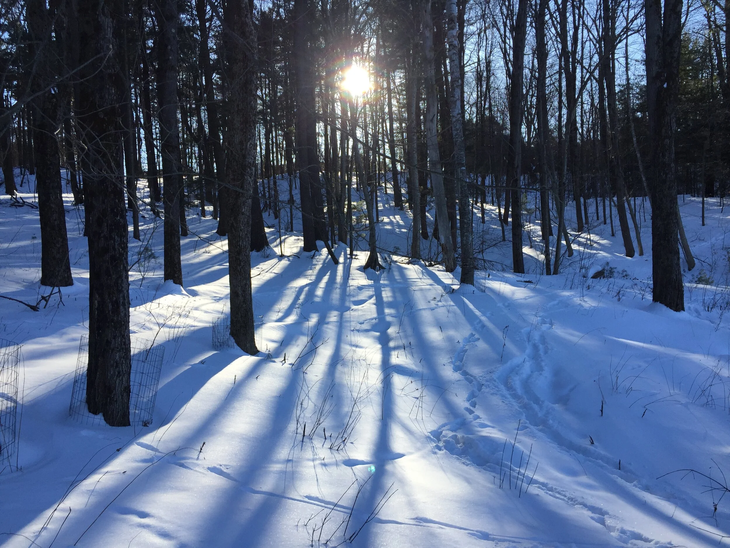 Solstice Family Reflections 