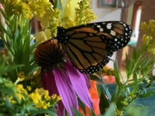 Vision Walk (one-day in person) in collaboration with the Green Mt. Monastery