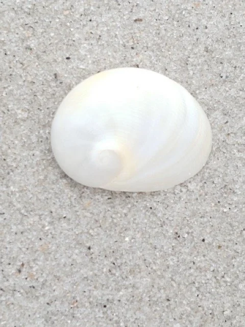 Connecting to WholeHeart 