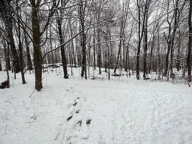 Allow me to introduce myself - Salient Identity and the spaciousness to be many things