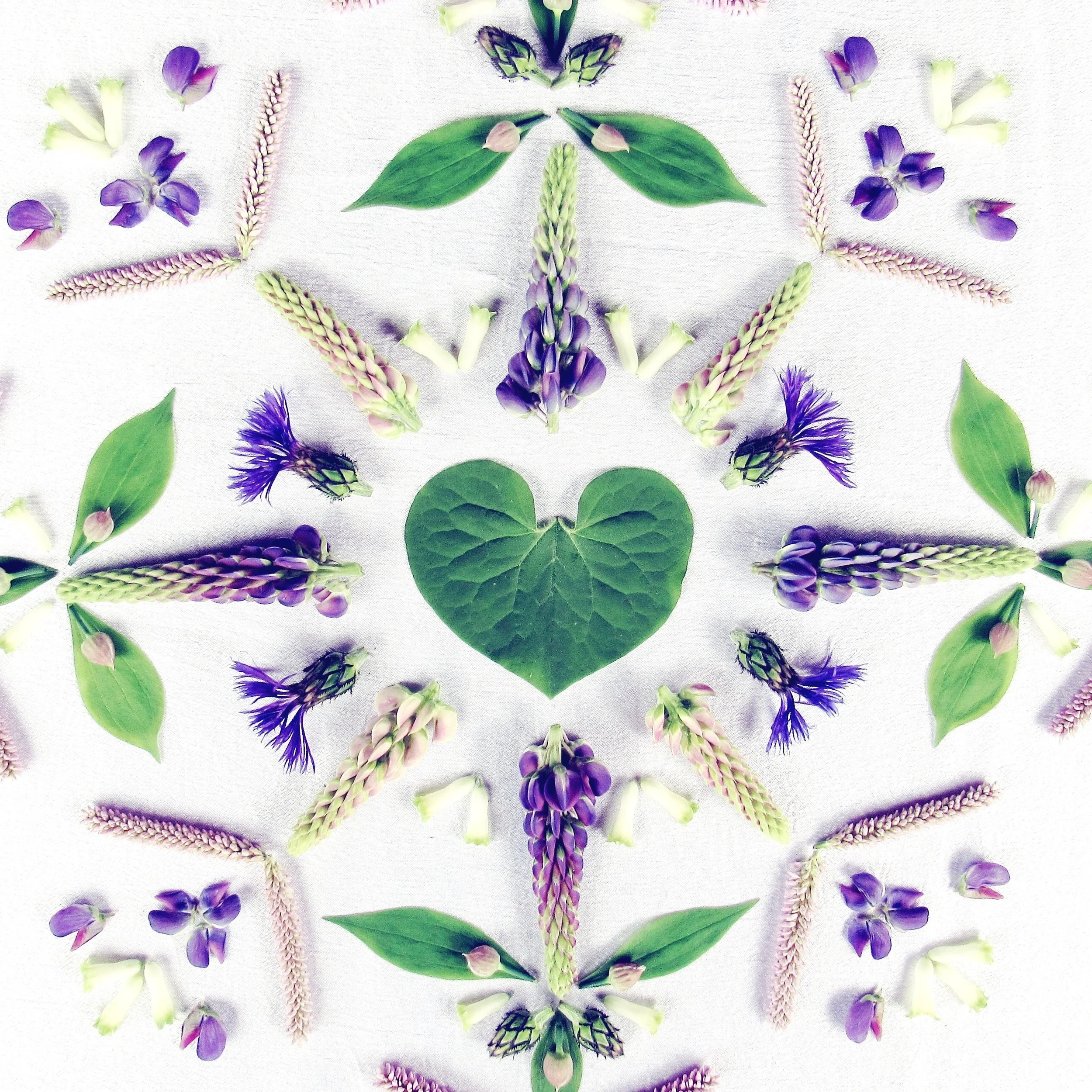 Valentines of Gratitude - Cultivating Connections!