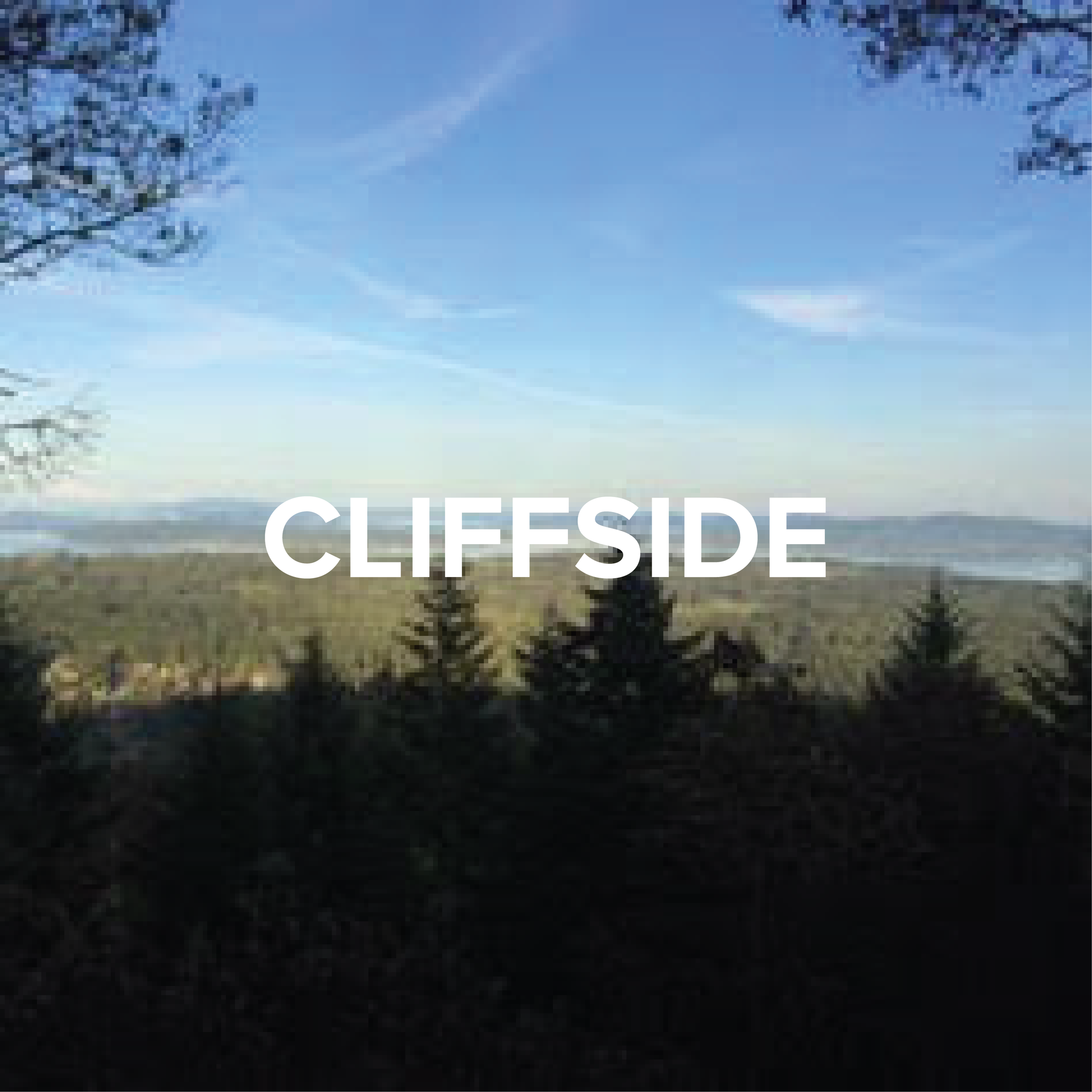 CLIFFSIDE