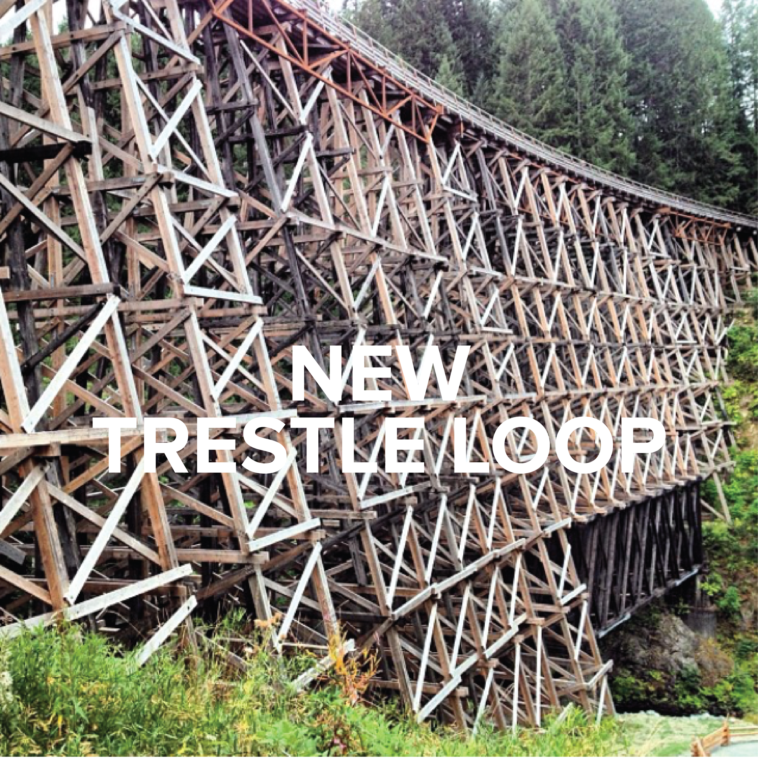 NEW! TRESTLE LOOP
