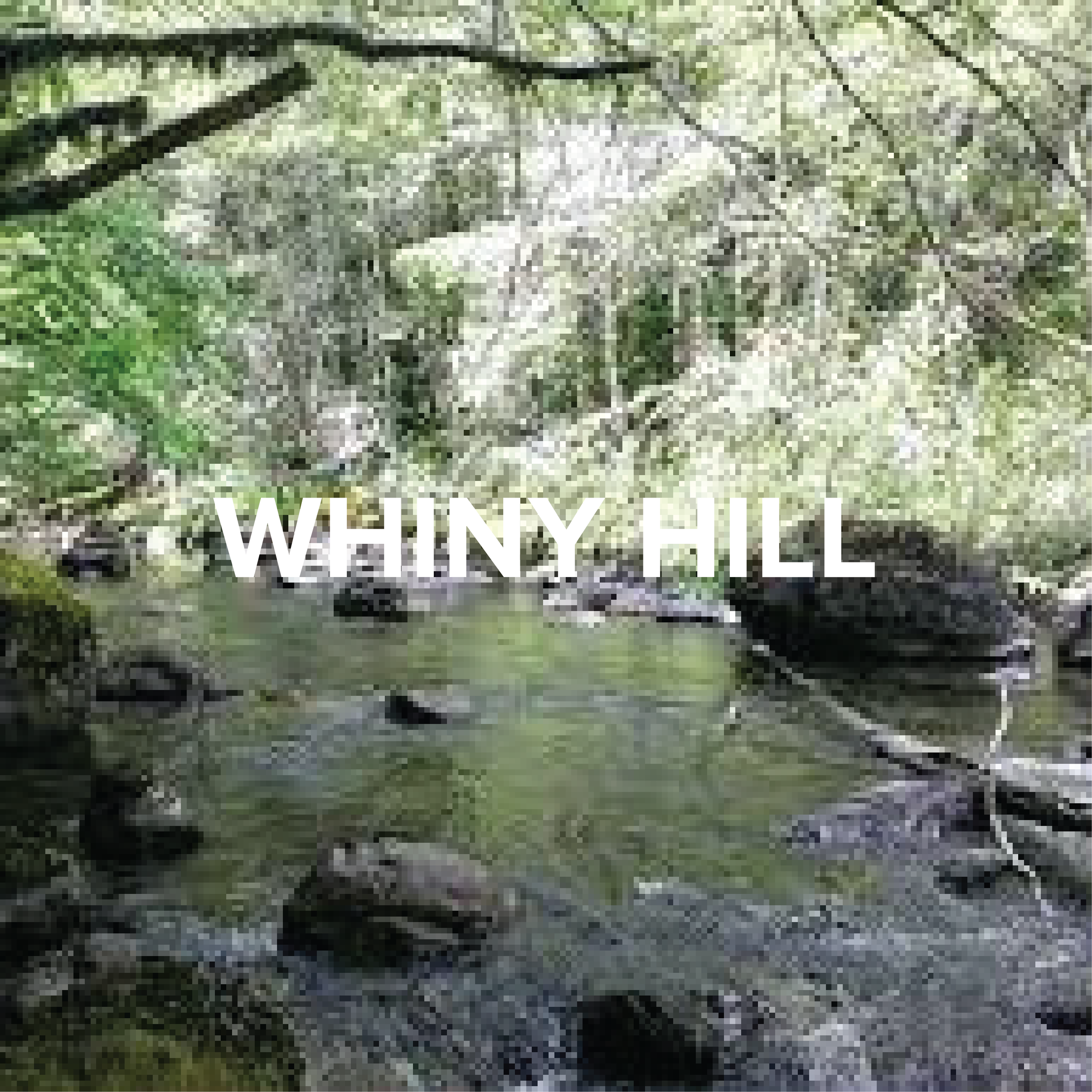 WHINY HILL