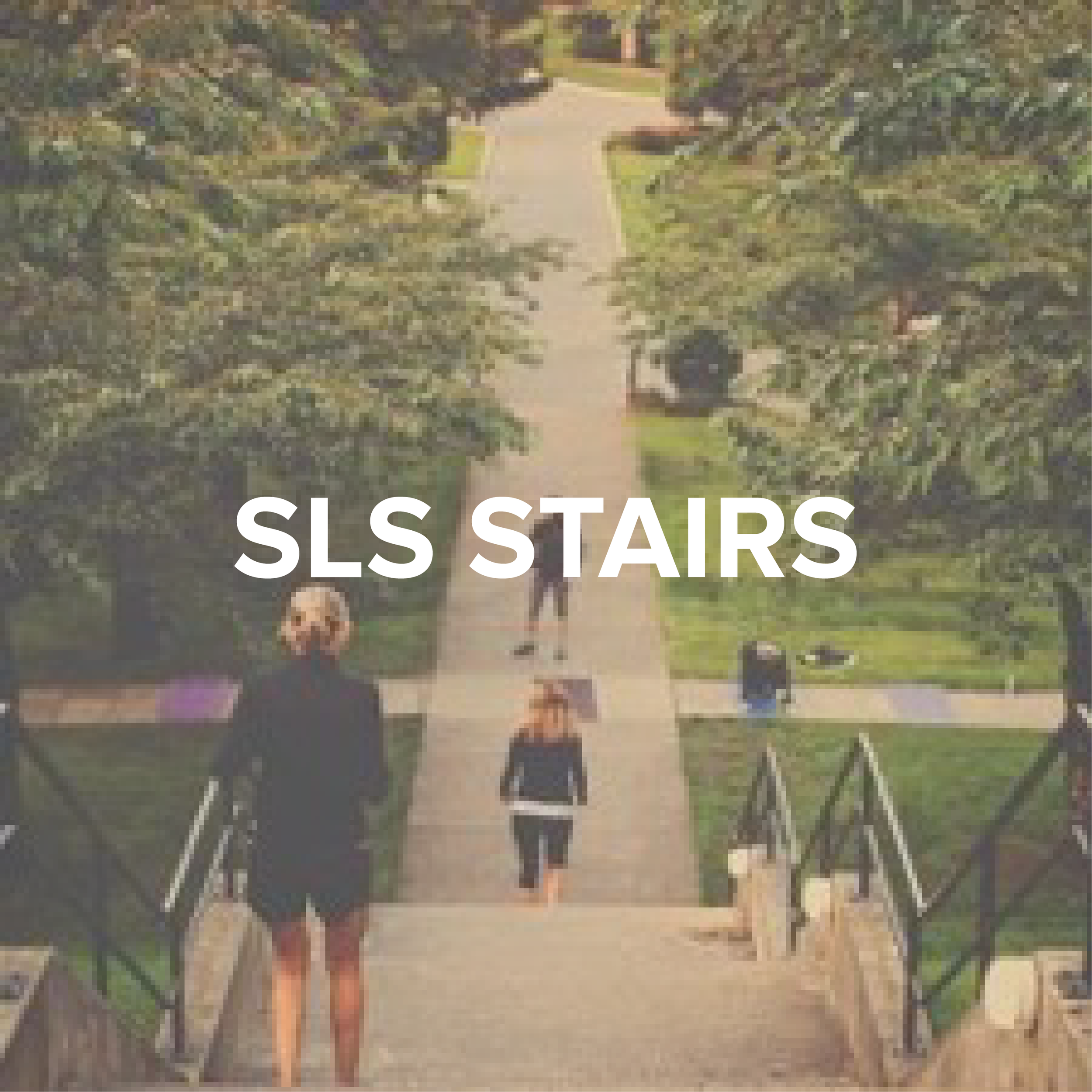 SLS PRIVATE SCHOOL STAIRS
