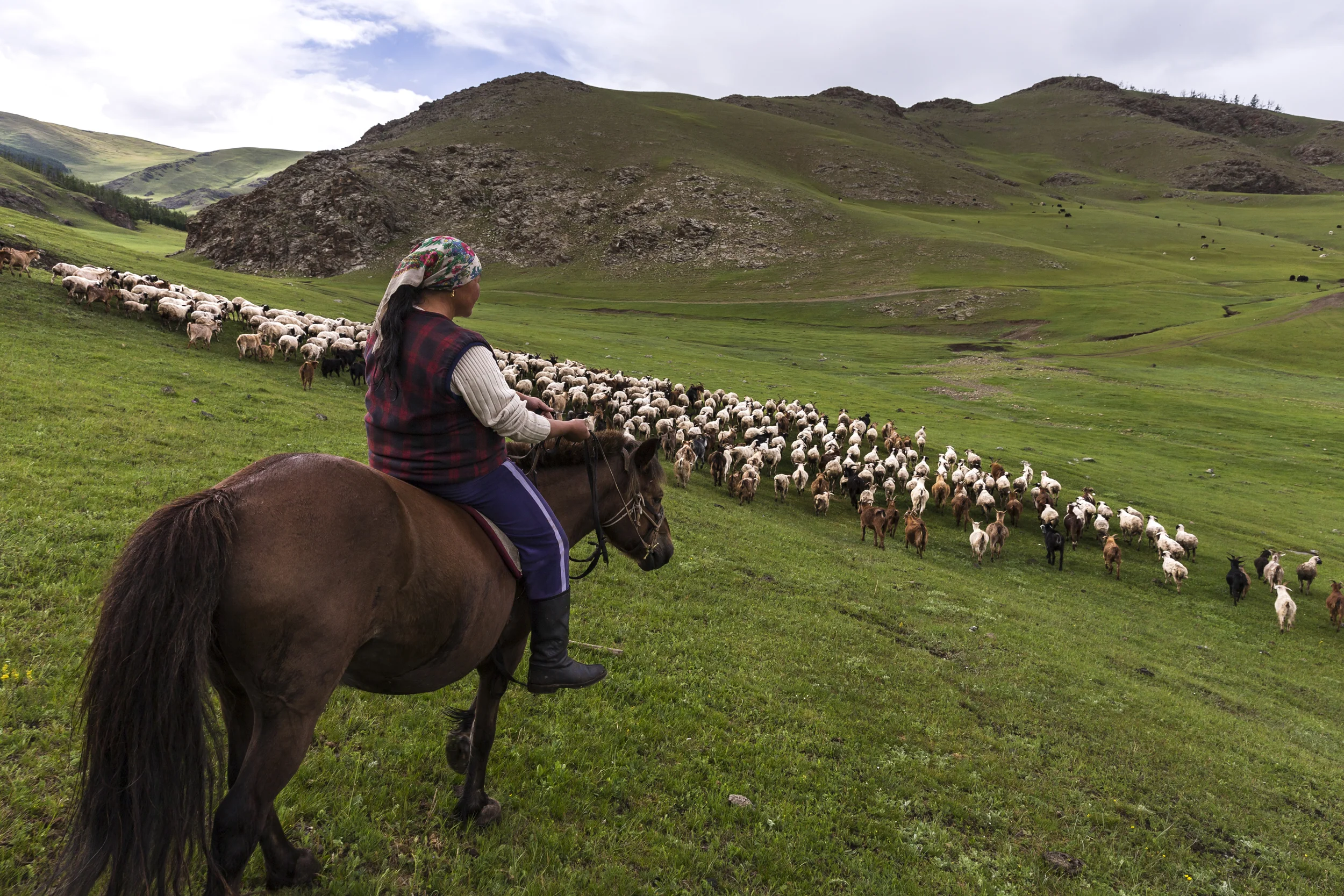 THE STEPPES OF MONGOLIA, 10 JULY 2013: Scenes of nomad life on the way to the Steppes of Mongolia, 10 July 2013. (Photo by Brent Stirton/Reportage for GEO Magazine.)