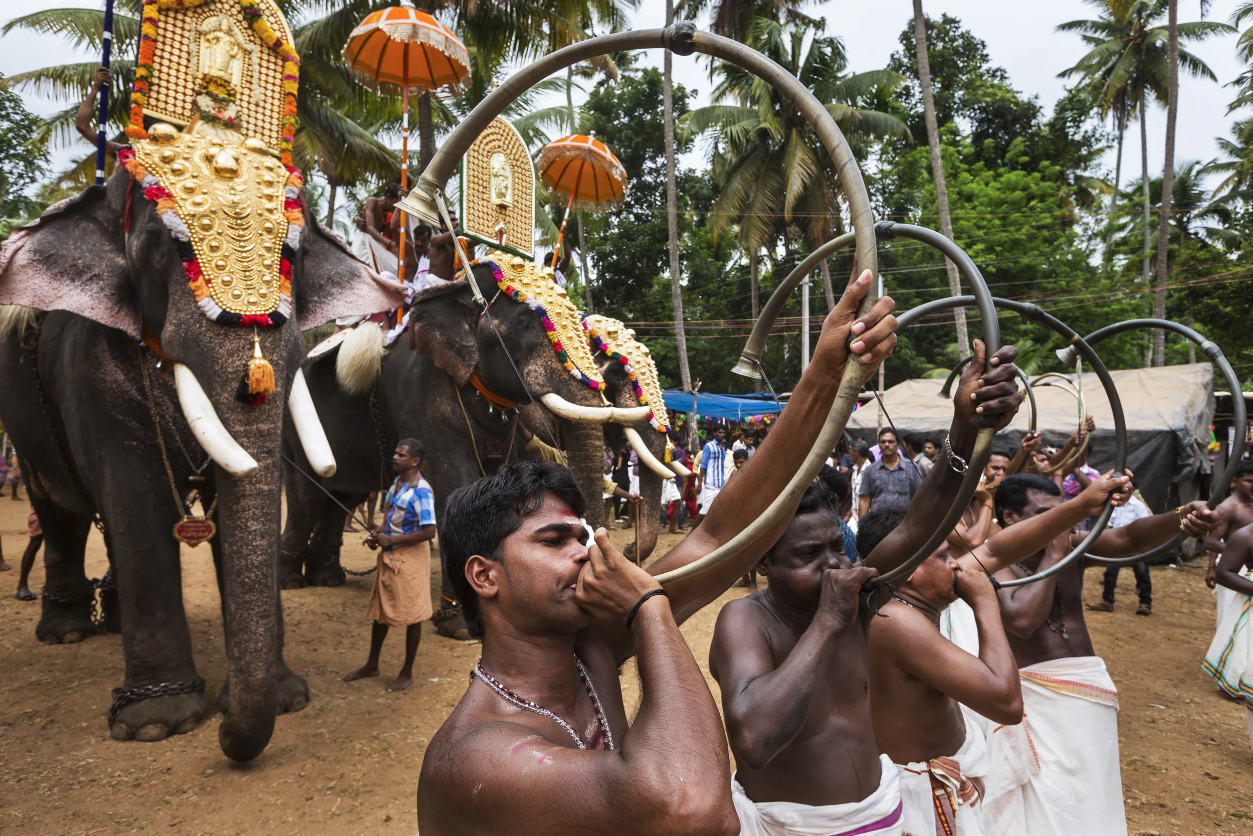 PARAVOOR, KERALA, INDIA, 15 APRIL 2013: An elephant festival at Paravoor, Kerala, India 15 April 2013. Elephants have become increasingly popular at religious festivals in Kerala, for centuries they have been used by the Hindu faithful because of their role in Hinduism and also as a symbol of power. In recent years both Christian and Islamic factions have introduced elephants into their festival. As a result these elephant have become heavily overused during the festival period. They have little rest, are surrounded by a roaring crowd, loud music and concussive fireworks. Elephants that are in Must have also been used, despite their increased aggression in this period. Accidents and killings have been commonplace, panicked and aggressive elephants have killed a number of spectators, as recently as January 2013 an elephant killed 3 woman spectators yet was allowed to continue performing. The elephant owners charge large fees for appearances and there are devout, fanatical followings for individual elephants. Despite the danger, people continue to flock to these events. Elephants are typically wild animals who have been caught and broken, then trained to obey commands. Elephants in Kerala spend their whole lives chained, living in small spaces like open air prisons and performing manual labor or appearing at these festivals. (Photo by Brent Stirton/Reportage by Getty Images.)